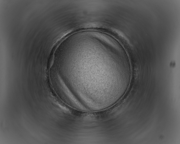 X0000091231217200708231647