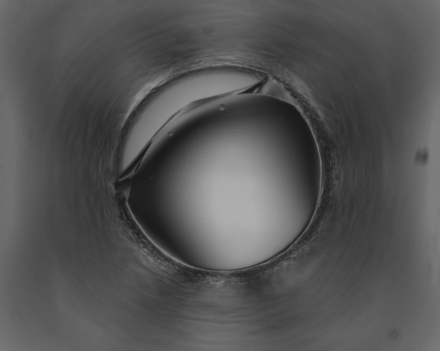 X0000091231218200708231647