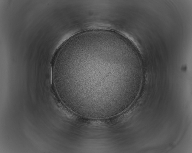 X0000091231219200708231647