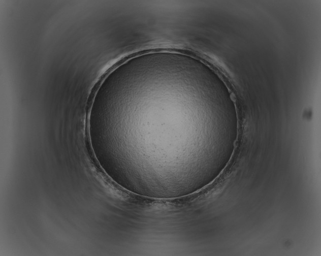 X0000091231220200708231647