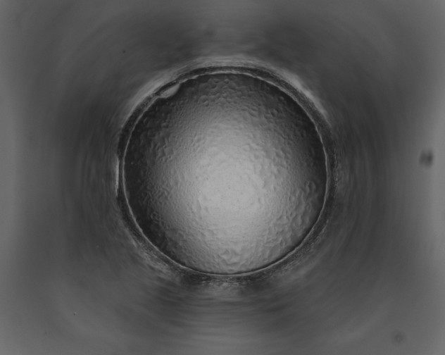 X0000091231221200708231647