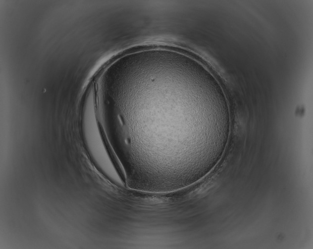 X0000091231224200708231647