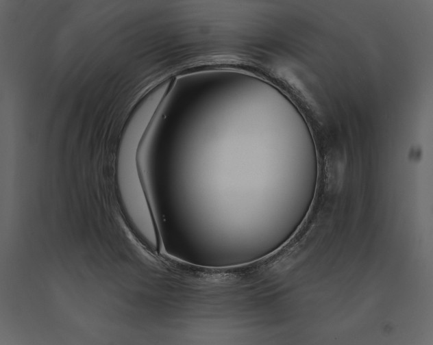 X0000091231225200708231647
