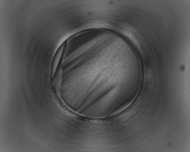 X0000091231226200708231647