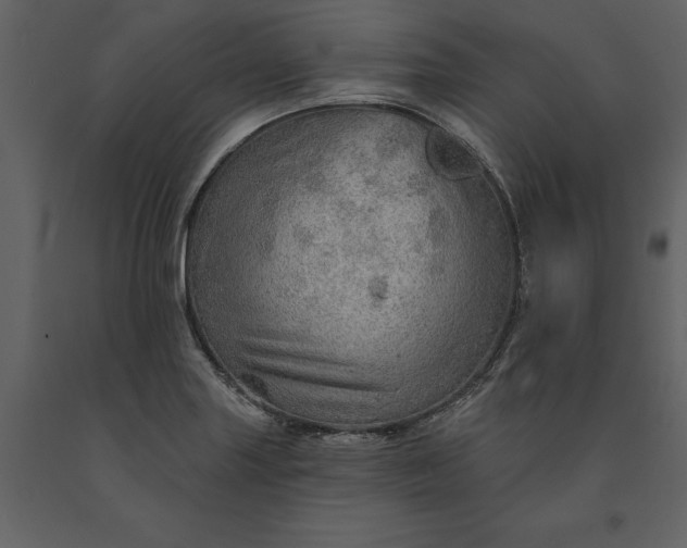 X0000091231227200708231647