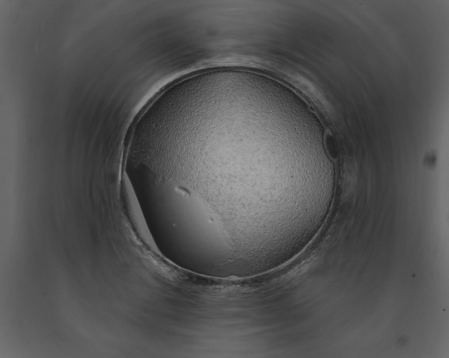 X0000091231228200708231647