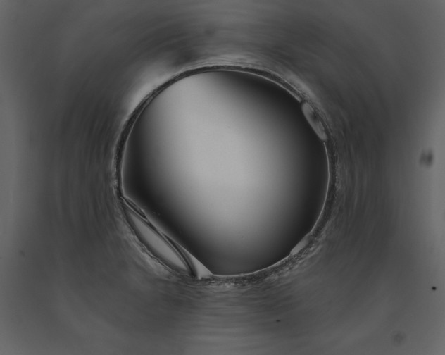 X0000091231230200708231647