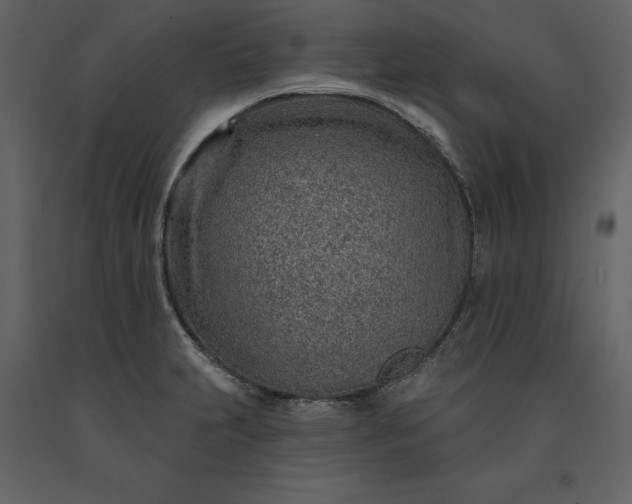 X0000091231231200708231647