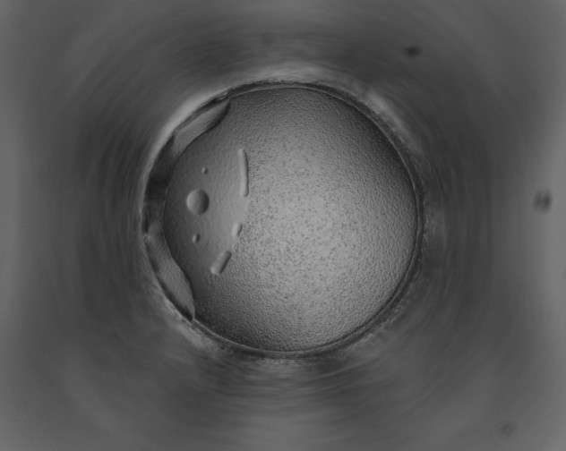 X0000091231232200708231647