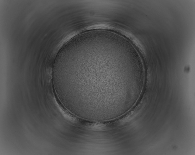 X0000091231233200708231647
