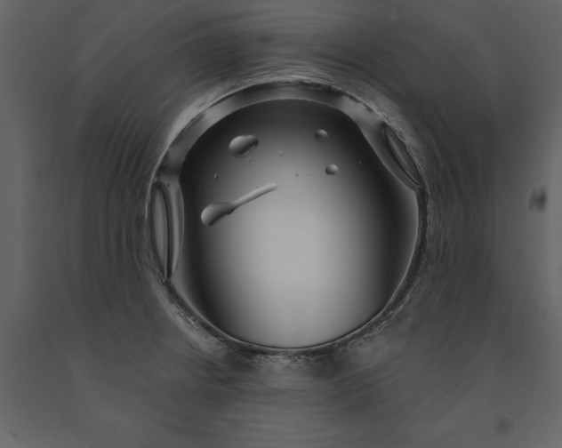 X0000091231234200708231647
