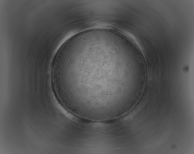 X0000091231235200708231647
