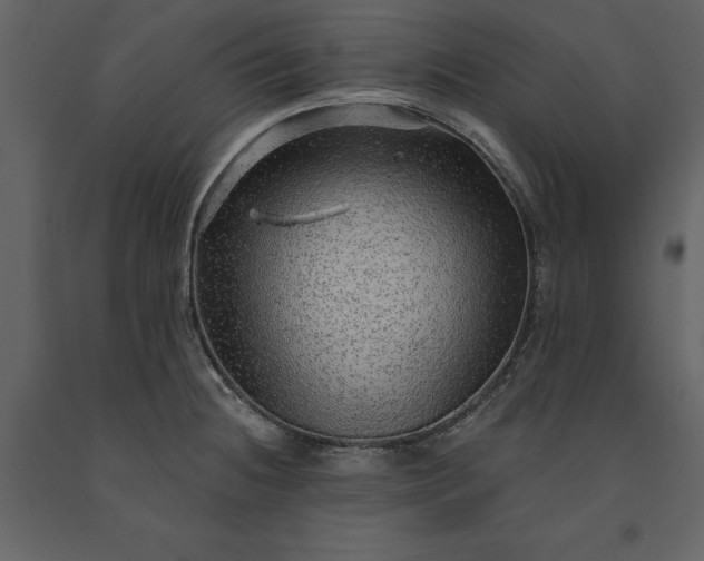 X0000091231236200708231647
