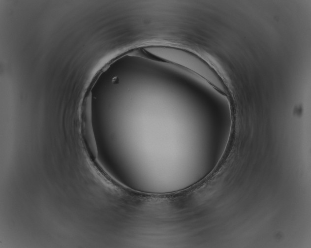 X0000091231238200708231647