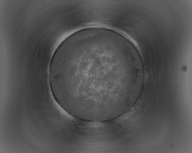X0000091231239200708231647