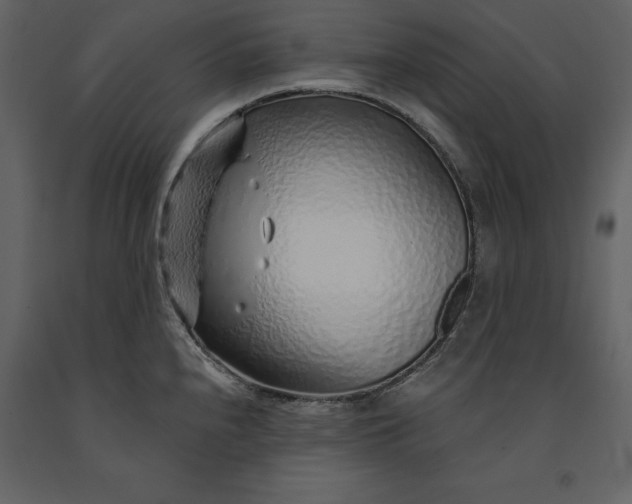 X0000091231240200708231647