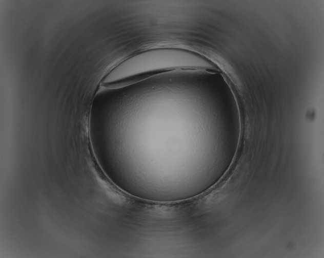 X0000091231241200708231647