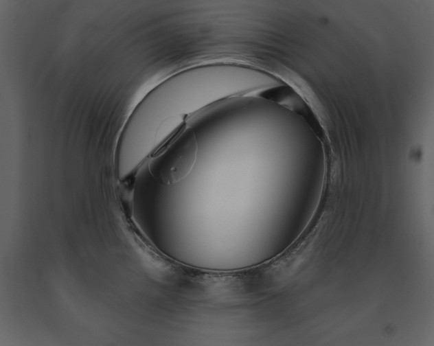 X0000091231242200708231647