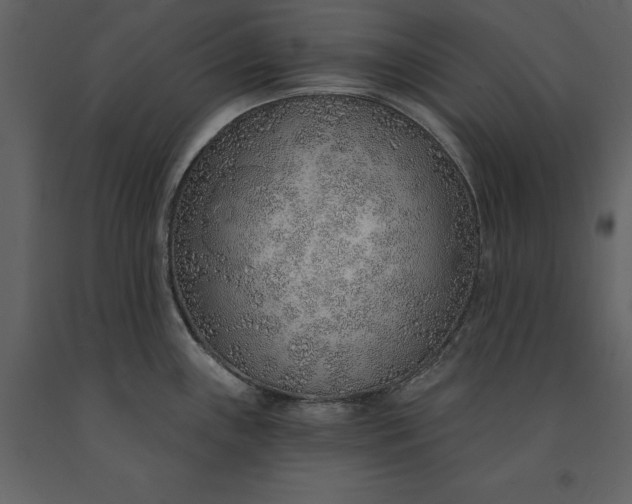 X0000091231243200708231647