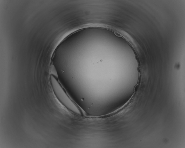 X0000091231244200708231647