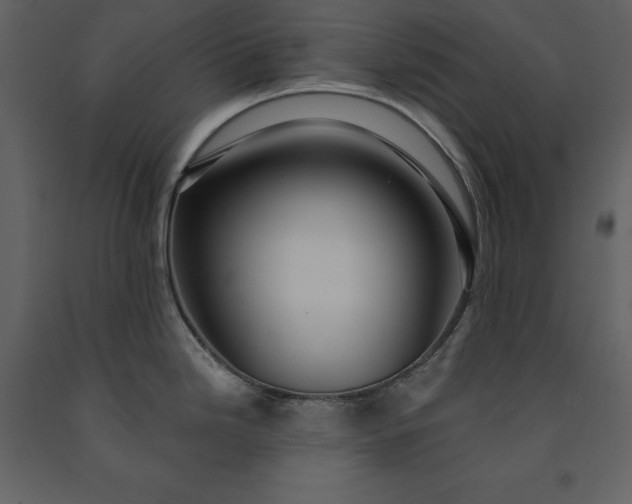 X0000091231246200708231647