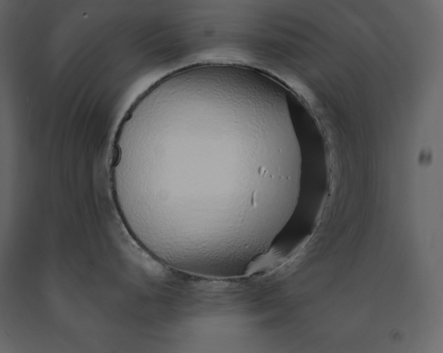 X0000091231248200708231647