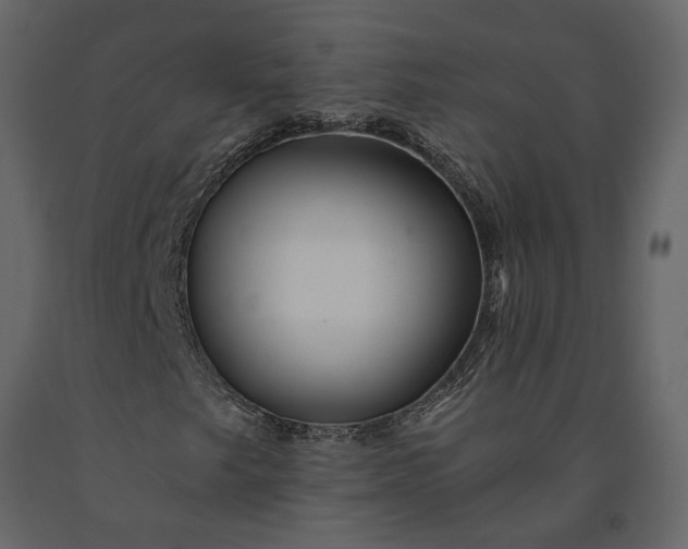 X0000091231249200708231646