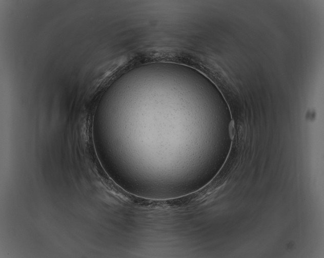 X0000091231250200708231646