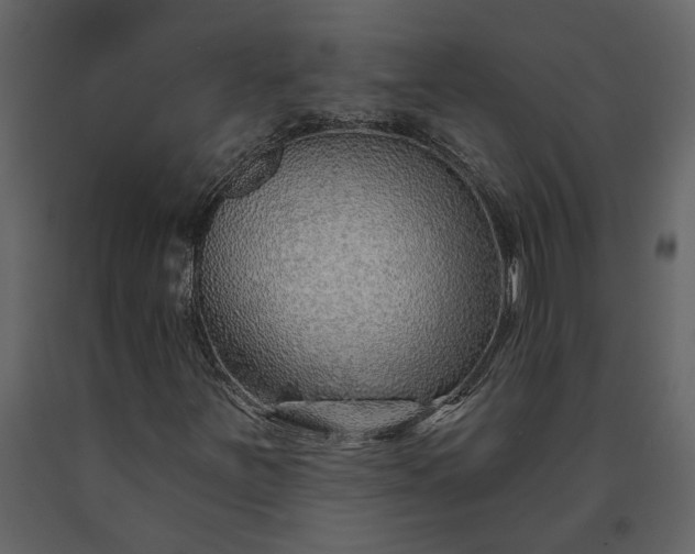 X0000091231251200708231646