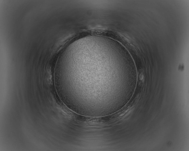 X0000091231252200708231646