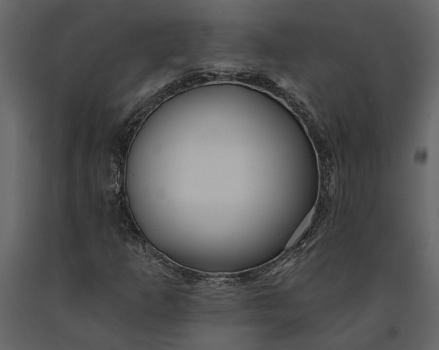 X0000091231253200708231646