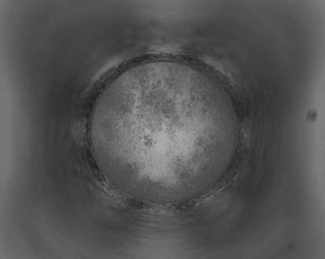 X0000091231254200708231646