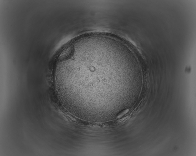 X0000091231255200708231646
