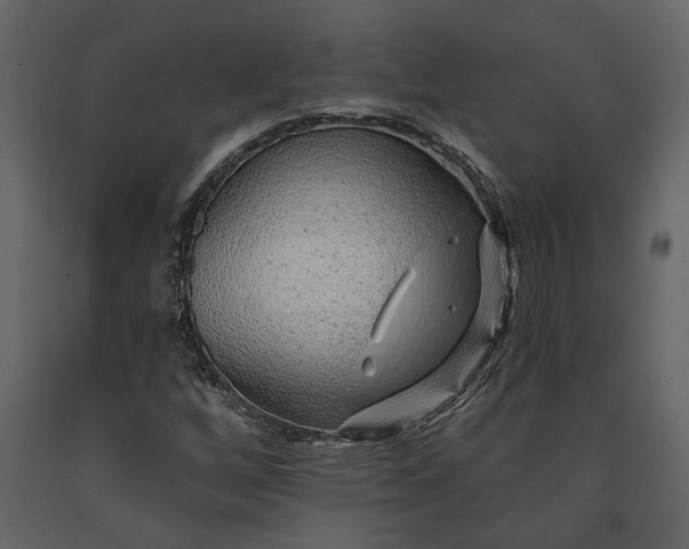X0000091231256200708231646