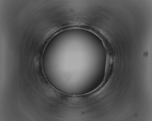 X0000091231257200708231646