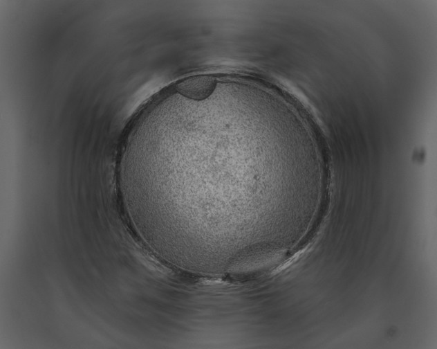 X0000091231259200708231646