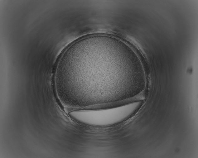 X0000091231260200708231646