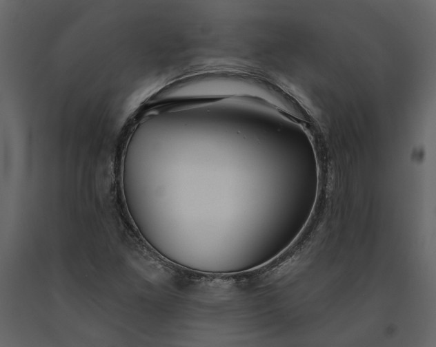X0000091231261200708231646