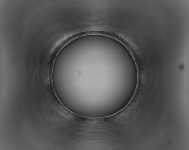 X0000091231262200708231646