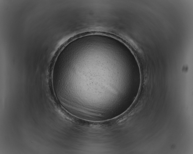 X0000091231264200708231646