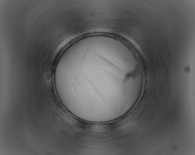 X0000091231266200708231646
