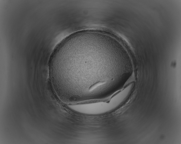 X0000091231267200708231646