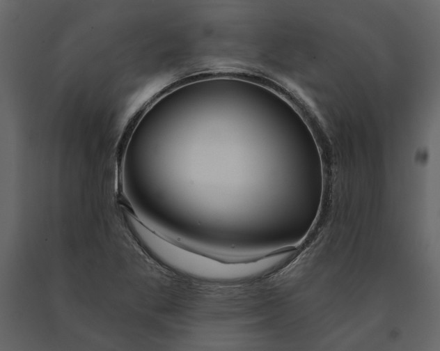 X0000091231269200708231646