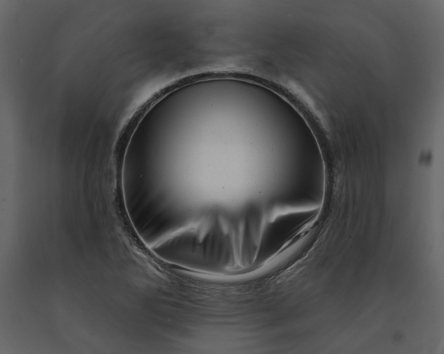 X0000091231270200708231646