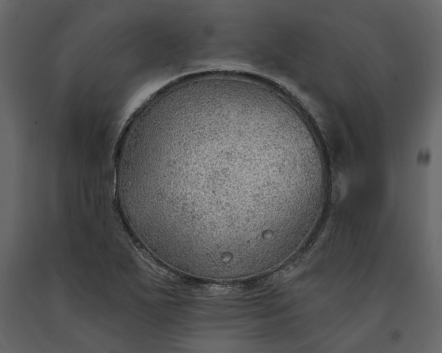 X0000091231271200708231646