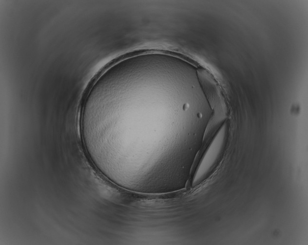 X0000091231272200708231646