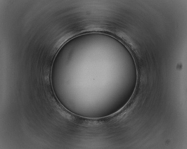 X0000091231273200708231646