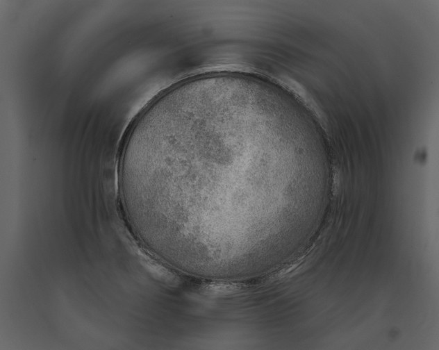 X0000091231274200708231646