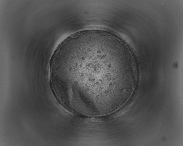 X0000091231275200708231646