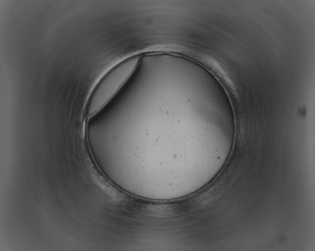 X0000091231276200708231646